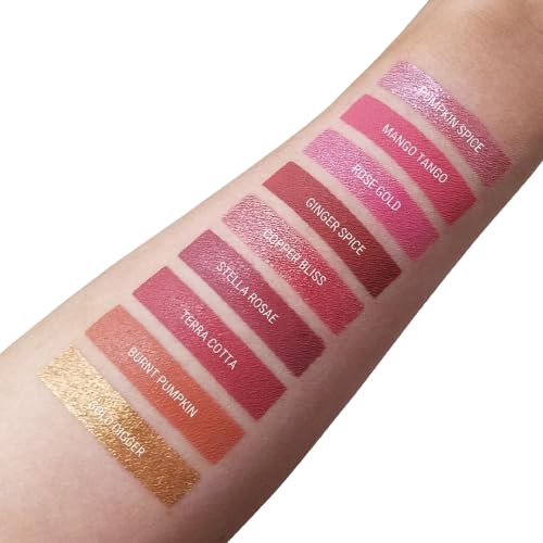 Aromi Mango Matte Liquid Lipstick | Coral Peach Lip Color for Women, Long-Lasting, Vegan, Red Orange Shade (Mango Tango)