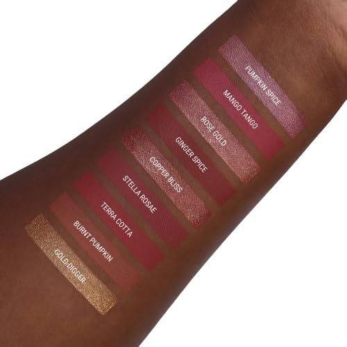 Aromi Ginger Spice Matte Liquid Lipstick | Nutmeg, Terra Cotta Lip Color, Vegan & Cruelty-free Beauty, Burnt Orange, Long-lasting Lipstick for Fall (Ginger Spice)