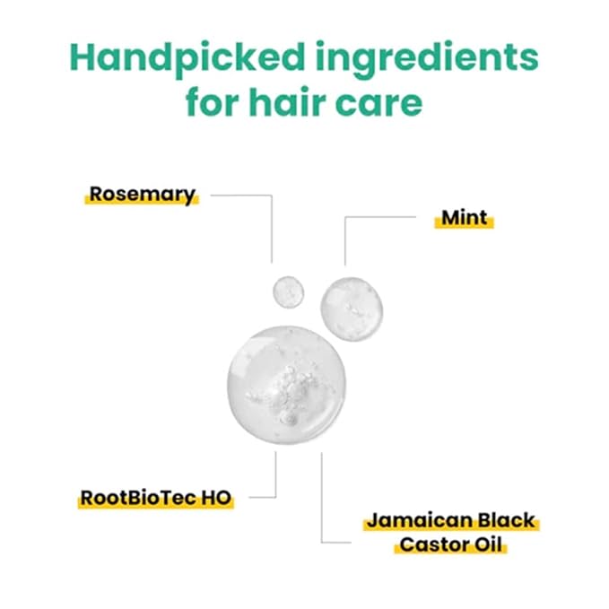 Anveya Rosemary Mint Hair Oil | Hair Oils for Hair Growth & Dandruff Control | Rosemary Oil for Hair Growth & Hair Care | Smoothens Dry Scalp, Reduces Hair Fall & Split Ends | for Men & Women | 50ml