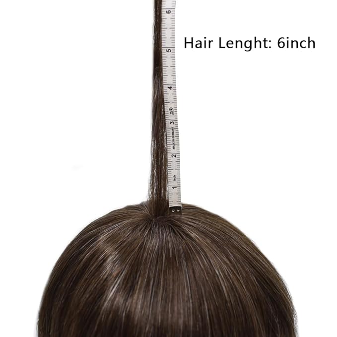 FACE MIRACLE Toupee for Men French Lace Hairpieces Human Hair Replacement System Skin PU around Mens Toupee Hair Piece for Man V-Looped Front 8"X10" #220 2# DARKEST BROWN WITH 20% SYNTHETIC GREY