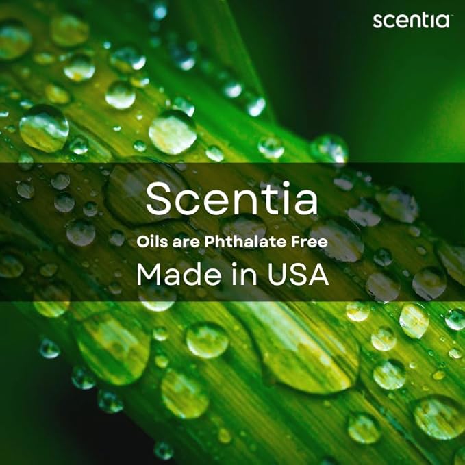 Scentia Hotel Diffuser Oil Inspired by 5-Star Hotel Scent - 500 ml 16.9 fl oz - Fragrance Oil Blend Jasmine, Bergamot Notes for Aromatherapy Diffusers and Humidifiers - Cabana, Thanksgiving Gift