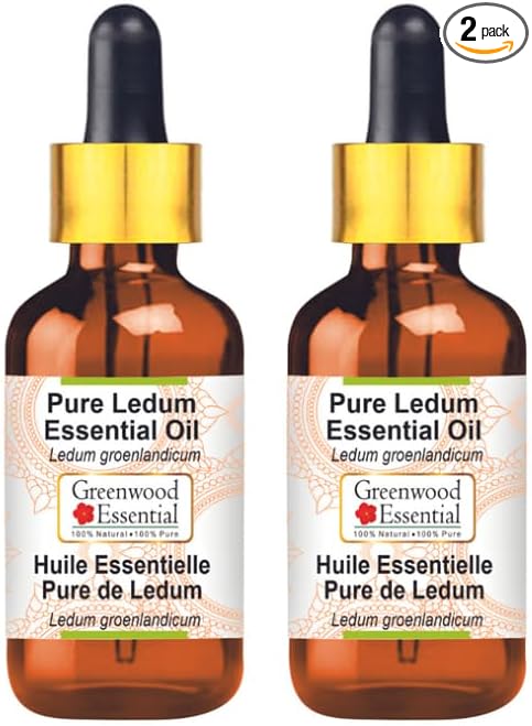 Greenwood Essential Pure Ledum Essential Oil (Ledum groenlandicum) Steam Distilled (Pack of Two) 15ml X 2 (1 oz)