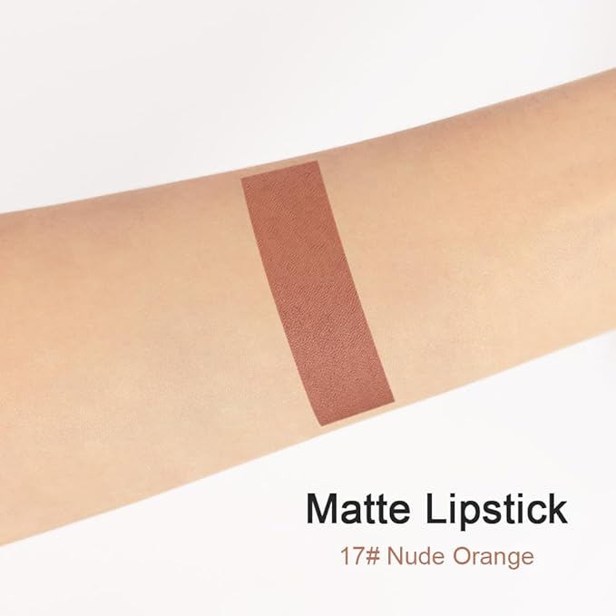 evpct 1Pcs Light Nude Brown Matte Lipstick and Lip Crayon Liner Pencil Set for Women Lip Stain Long Lasting Waterproof labiales mate magicos 24 horas originales pintalabios permanente 24 horas 17