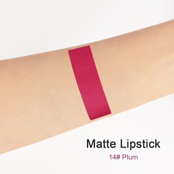 evpct 1Pcs Plum Purple Matte Lipstick and Lip Crayon Liner Pencil Pen Set for Women Lip Stain Long Lasting Waterproof labiales mate magicos 24 horas originales pintalabios permanente 24 horas 14
