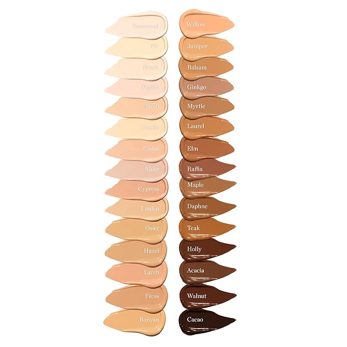 Ogee Complexion Perfecting Under Eye Concealer - Certified Organic Full Coverage Concealer - Buildable Coverage - CYPRESS 1.50C - Light Medium (Cool Undertones)