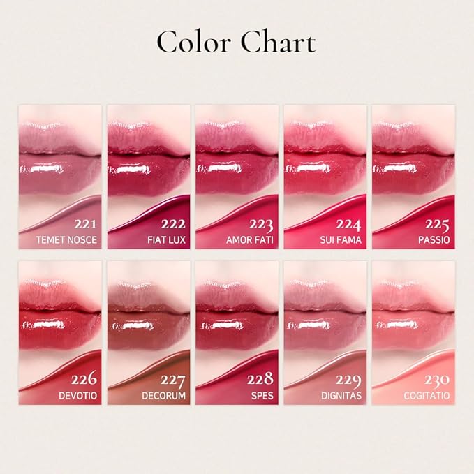 DINTO Blur-Glowy Lip Tint - Glossy Finish, Hydrating, Long Lasting, Lightweight Texture, Non-Sticky, Vegan & Cruelty-Free, K beauty (218 Memento Mori, 0.11 fl.oz)