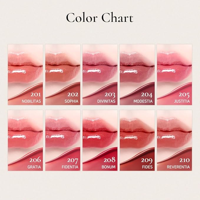 DINTO Blur-Glowy Lip Tint - Glossy Finish, Hydrating, Long Lasting, Lightweight Texture, Non-Sticky, Vegan & Cruelty-Free, K beauty (210 Reverentia, 0.11 fl.oz) (30 colors)