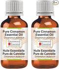Greenwood Essential Pure Cinnamon Essential Oil (Cinnamomum zeylanicum) Steam Distilled (Pack of Two) 100ml X 2 (6.76 oz)