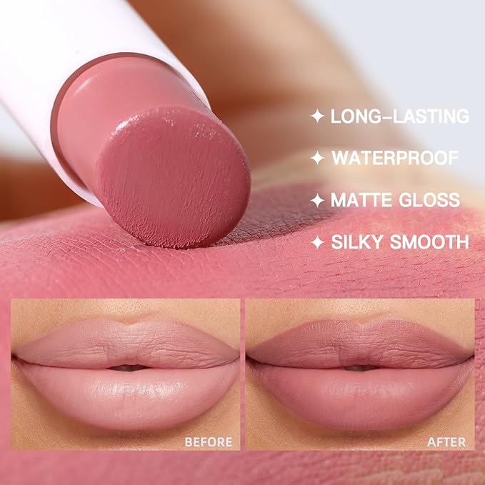 USHAS 2 in 1 Waterproof Lipstick and Lip Liner Combo Set - Long Lasting Matte Lipstick Pen with Liner Set Makeup Kit (S17, Pack of 1)