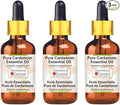 Greenwood Essential Pure Cardamom Essential Oil (Elettaria cardamomum) with Glass Dropper Steam Distilled (Pack of Three) 100ml X 3 (10.1oz)