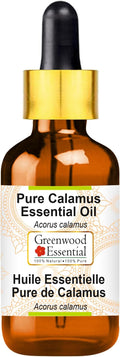 Greenwood Essential Calamus Essential Oil (Acorus Calamus) with Glass Dropper | Pure | Non-Sticky | Non-Greasy | Lightweight | Men & Women | All Skin Types | Steam Distilled 30ml (1 oz)