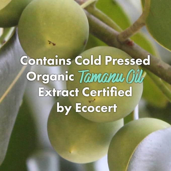 RATED GREEN Tamanu Oil Soothing Scalp Pack | Organic Cold Pressed Black Currant | Deep Relief for Irritated & Sensitive Scalp | Silicone-Free, Korean Hair Care | 6.76 Fl. Oz