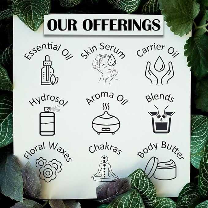 Greenwood Essential Pure Grapeseed Oil (Vitis vinifera) Cold Pressed (Pack of Three) 100ml X 3 (10 oz)