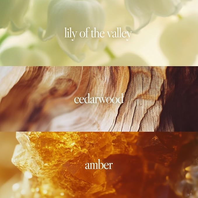 Noteworthy n,551 Amber Sunset Eau De Parfum – Lily of the Valley, Amber, Sandalwood | Sophisticated, Warm Fragrance for Any Occasion | Long-lasting Unisex Perfume for Women & Men (100ml)