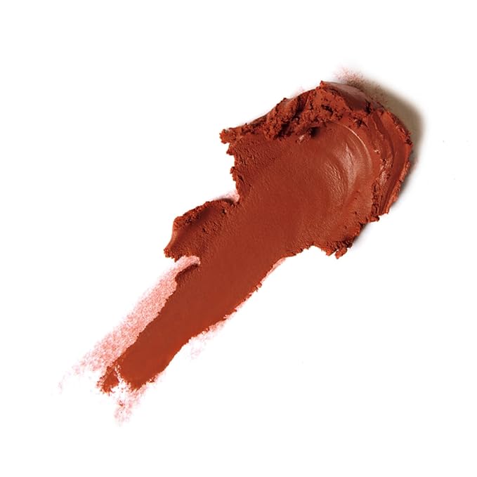 Matte Lipstick for Women, Long Lasting Moisturizing Lip Stain, Waterproof Lip Color Makeup (Brown)