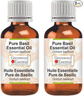 Greenwood Essential Pure Basil Essential Oil (Ocimum basilicum) Steam Distilled (Pack of Two) 100ml X 2 (6.76 oz)