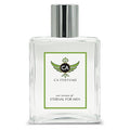 CA Perfume Impression of Klein Eternal For Men For Men Replica Fragrance Dupes Eau de Parfum Spray Bottle 3.4 Fl Oz/100ml-X1