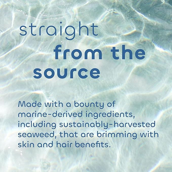 Seaweed Bath Co. Exfoliate Detox Body Soap, 3.75 Ounce, Sustainably Harvested Seaweed, Charcoal (Packaging May Vary)