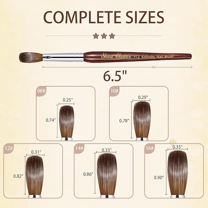 Acrylic Nail Art Brush Size 14, 100% Pure Kolinsky Hair Oval Nail Brush for Acrylic Application, Professional Nail Extension Manicure Tool Striping Nail Drawing Pen for DIY Home Salon