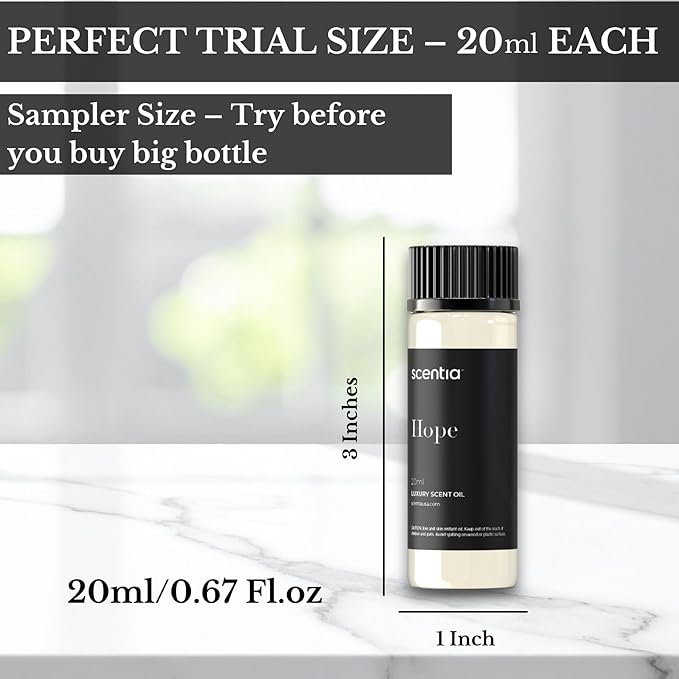 Perfume-Inspired Essential Oil Set – 3×20ml Diffuser Oils with Floral & Woody Notes | Designer Fragrance Blends for Home, Spa & Aromatherapy - Thanksgiving & Holiday Gift