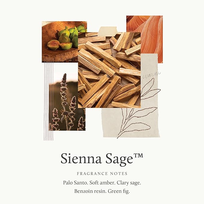 Thymes Sienna Sage Body Lotion - Hand and Body Cream (9.25 fl oz)