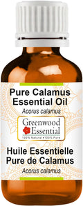 Greenwood Essential Calamus Essential Oil (Acorus Calamus) Pure | Non-Sticky | Non-Greasy | Lightweight | Men & Women | All Skin Types | Steam Distilled 30ml (1 oz)