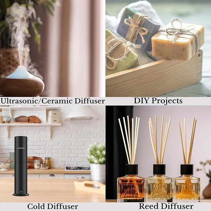 Scentia W Magic Hotel Diffuser Oil Inspired by 5-Star Hotel - 50 mL 1.69 fl oz - Fragrance Oil Blend Bergamot, Lemongrass & Jasmine for Aromatherapy Diffusers Humidifiers - Thanksgiving & Holiday Gift