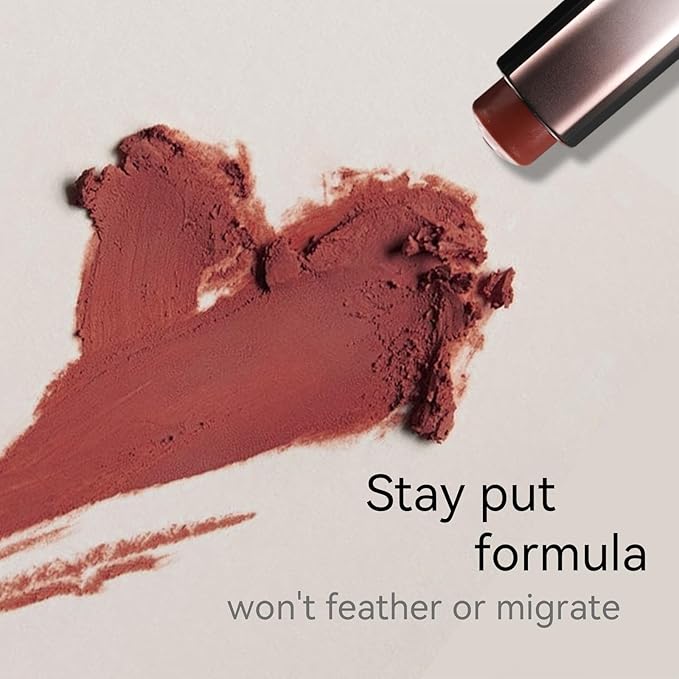 Matte Lipstick for Women, Long Lasting Moisturizing Lip Stain, Waterproof Lip Color Makeup (Carmine Red)