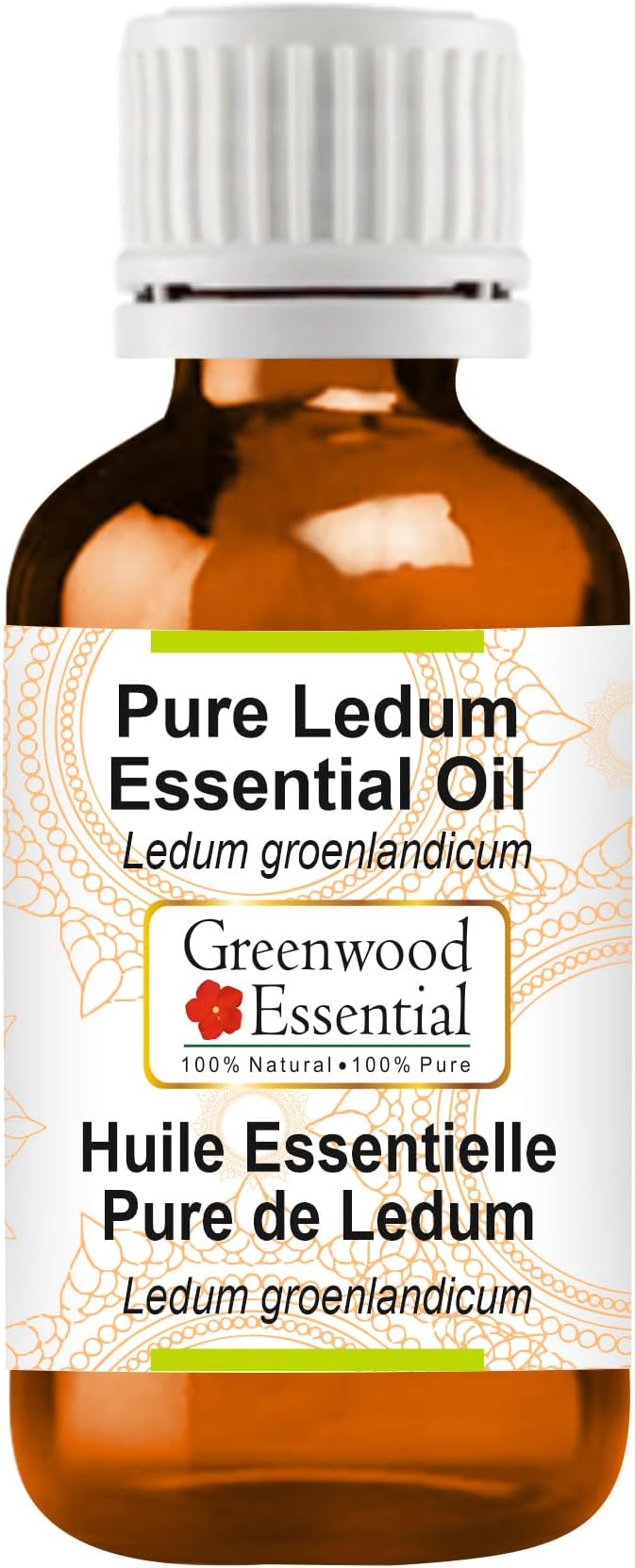 Greenwood Essential Ledum Essential Oil (Ledum groenlandicum) Pure | Non-Sticky | Non-Greasy | Lightweight | Men & Women | All Skin Types | Steam Distilled 30ml (1 oz)
