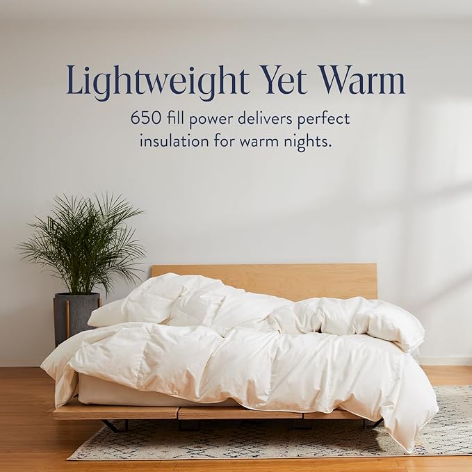 Brooklinen Lightweight Luxury Down Comforter, 100% Natural Canadian Duck Down Duvet Insert - 650 Fill Power, 100% Cotton Shell, Twin/Twin XL Size Comforter for Warm Sleepers
