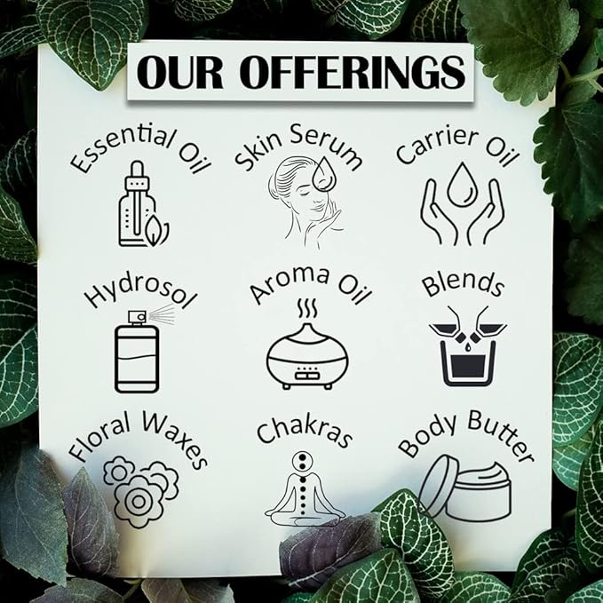 Greenwood Essential Pure Clove Essential Oil (Syzygium aromaticum) Steam Distilled 1250ml (42.2 oz)