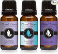 Trio (3) - Lavender Chamomile, Lavender Breeze & Lavender - Premium Fragrance Oil Trio - 10ML