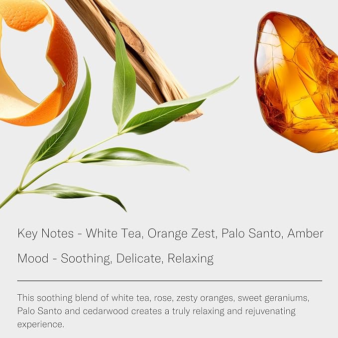 Aromatech White Tea Aroma Essential Oil Blend: Luxury Hotel inspired Aromatherapy with White Tea, Orange & Palo Santo for Ultrasonic Diffusers & Nebulizers - 2 fl oz, 60 mL