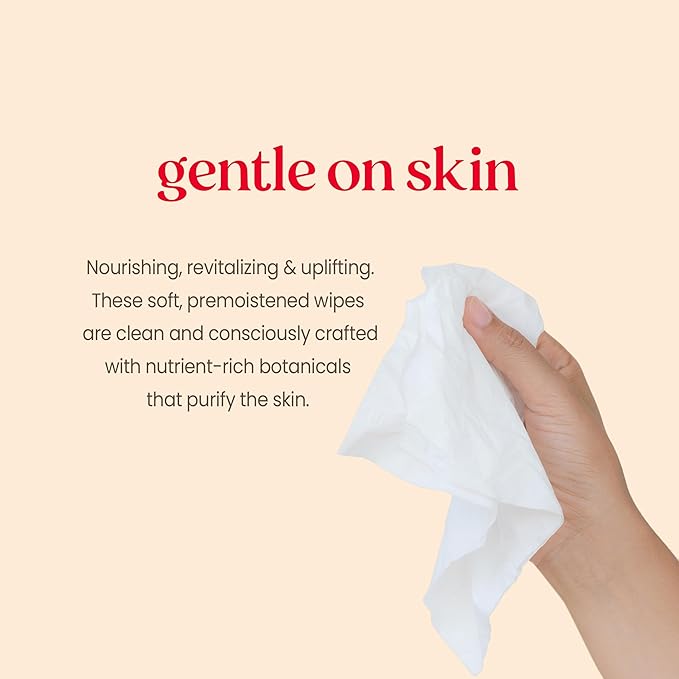 Burt's Bees Stocking Stuffers, Purifying Facial Towelettes Christmas Gifts With White Tea, Gentle Face Cleanser Pre-Moistened Towelettes, Makeup Remover Wipes, 30 ct. Package (3-Pack)
