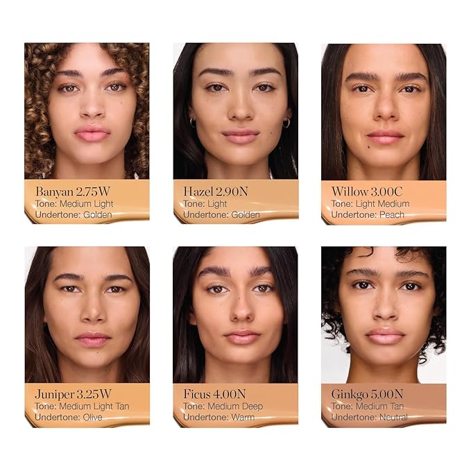 Ogee Complexion Perfecting Under Eye Concealer - Certified Organic Full Coverage Concealer - Buildable Coverage - JUNIPER 3.25W - Medium Light Tan (Olive Undertones)