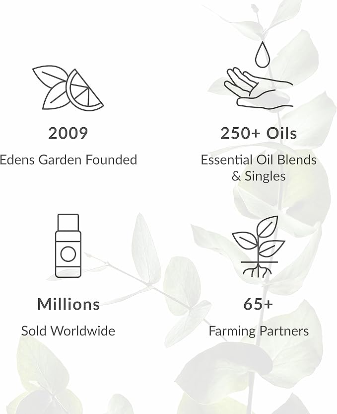 Edens Garden Fir Around The World Essential Oil- 100% Pure Premium Grade, Undiluted, Natural, Therapeutic, Aromatherapy, The Best for Diffuser, Skin, Candle, Laundry 10 ml (.33 fl oz)