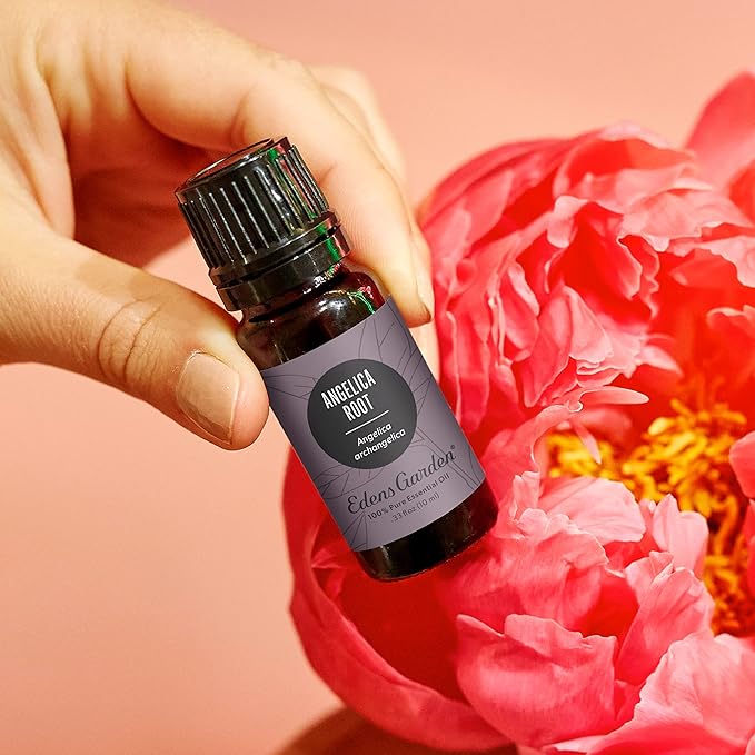 Edens Garden Angelica Root Essential Oil- 100% Pure Premium Grade, Undiluted, Natural, Therapeutic, Aromatherapy, The Best for Diffuser, Candle, Laundry, Kid Safe 10 ml (.33 fl oz)