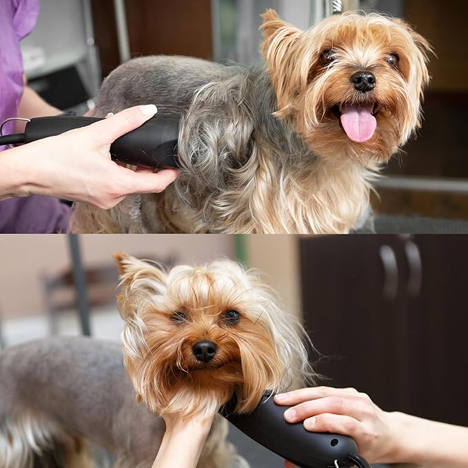 Detachable A Series Wide 7fw Blades for Dog Grooming Full Tooth Cuts Length 1/8" - 3.2mm Japanese Carbon Steel 7fw Dog Grooming Blade Supplies| 7fw Dog Clipper (Compatible A5 Series(B7FW)