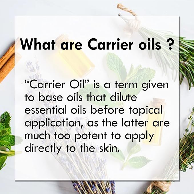 Greenwood Essential Pure Elecampane Oil (Inula helenium) Cold Pressed 50ml (1.69 oz)