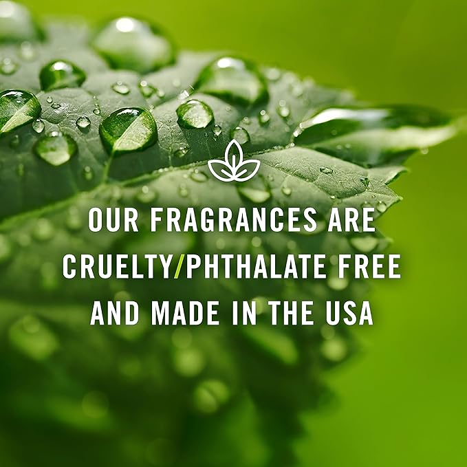 P&J Fragrance Oil - Apple Cider Scent, 30ml