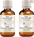 Greenwood Essential Pure Cucumber Oil (Cucumis sativus) Cold Pressed (Pack of Two) 100ml X 2 (6.76 oz)