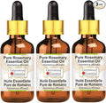Greenwood Essential Pure Rosemary Essential Oil (Rosmarinus officinalis) with Glass Dropper Steam Distilled (Pack of Three) 100ml X 3 (10.1oz)